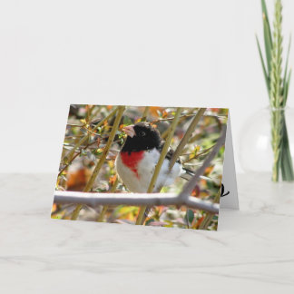 Red Breasted Grosbeak Card