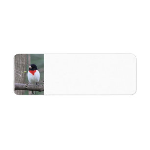 Red-Breasted Grosbeak  Label