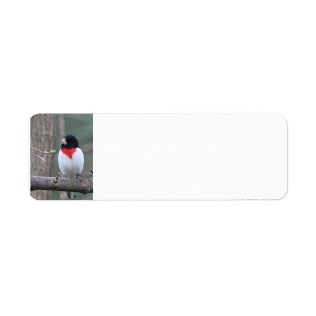 Red-Breasted Grosbeak  Label (Front)