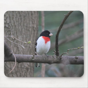 Red-Breasted Grosbeak mouse pad