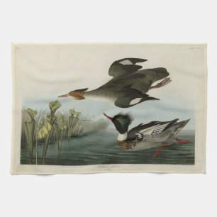 Red-breasted Merganser, Audubon's Birds of America Kitchen Towel