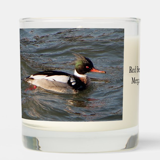 Red Breasted Merganser glass candle (Front)