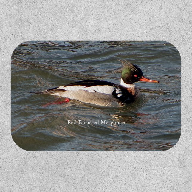 Red Breasted Merganser patch (Front)