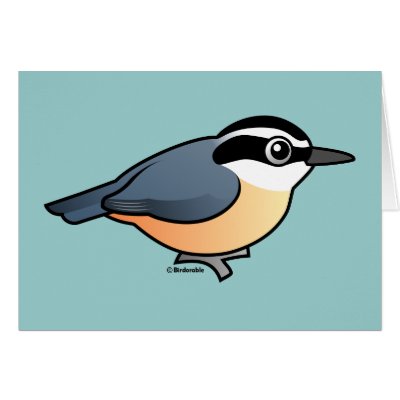 Red-breasted Nuthatch