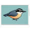 Red-breasted Nuthatch
