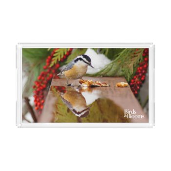Red-breasted Nuthatch Acrylic Tray by birdsandblooms at Zazzle