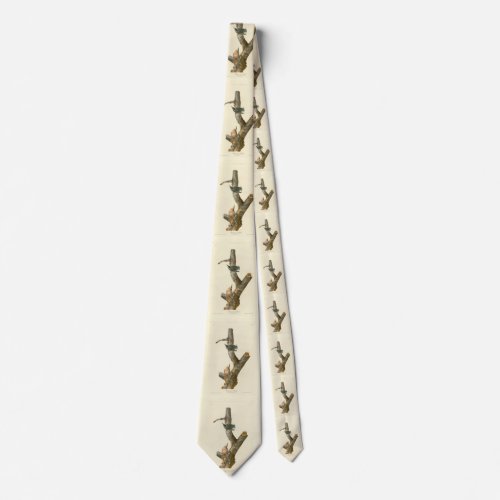 Red_breasted Nuthatch _ Audubons Birds of America Neck Tie