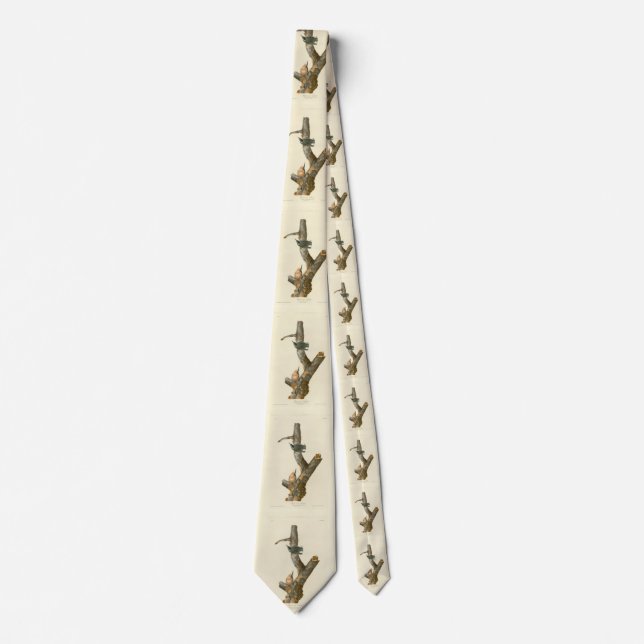 Red-breasted Nuthatch - Audubon's Birds of America Neck Tie (Front)