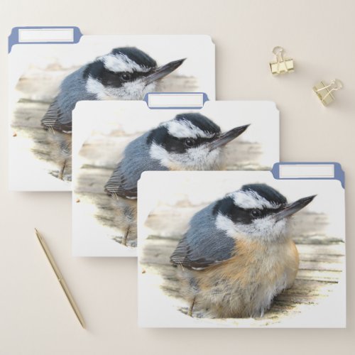 Red_breasted Nuthatch Bird File Folder Set