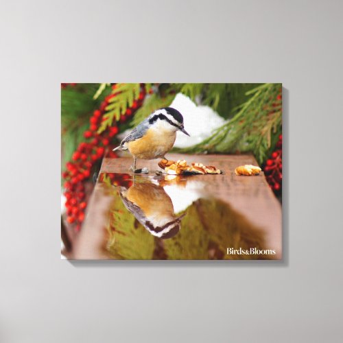 Red_breasted Nuthatch Canvas Print