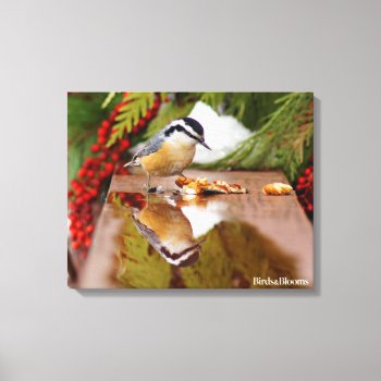 Red-breasted Nuthatch Canvas Print by birdsandblooms at Zazzle