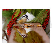 Red-breasted Nuthatch Cards (Front Horizontal)