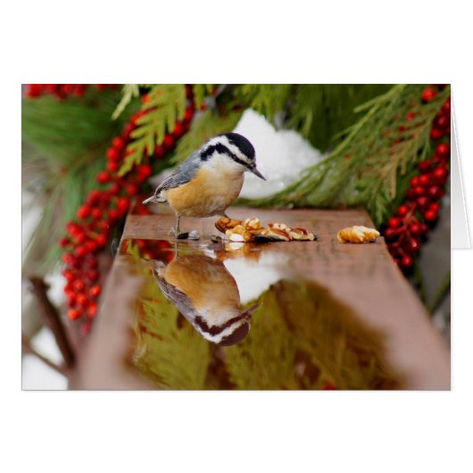 Red-breasted Nuthatch Cards (Front Horizontal)