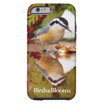 Red-breasted Nuthatch Tough Iphone 6 Case by birdsandblooms at Zazzle