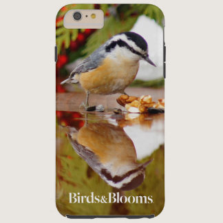 Red-breasted Nuthatch Tough iPhone 6 Plus Case