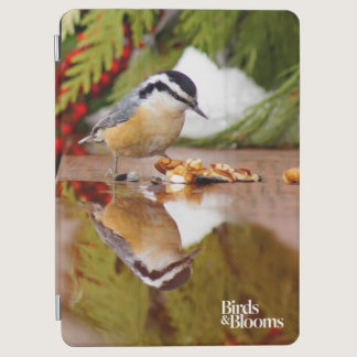 Red-breasted Nuthatch iPad Air Cover
