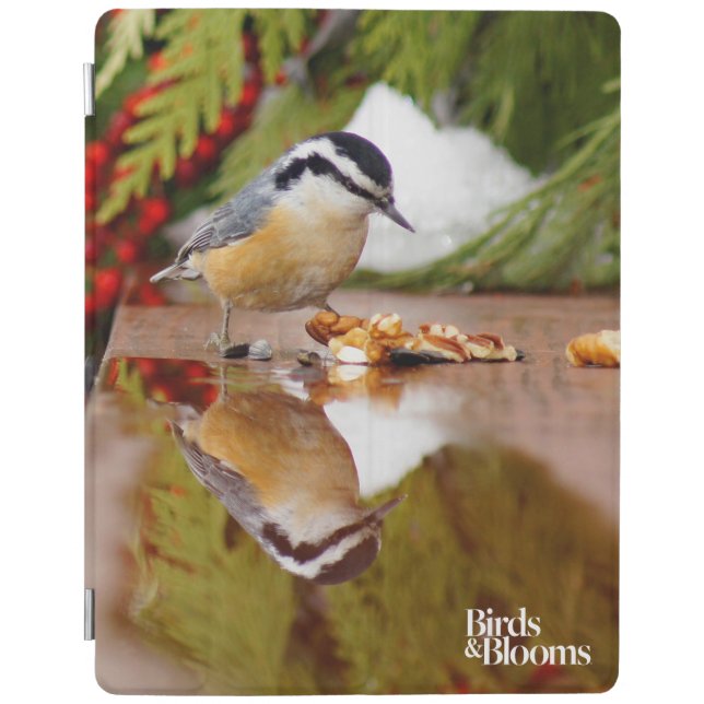 Red-breasted Nuthatch iPad Smart Cover (Front)