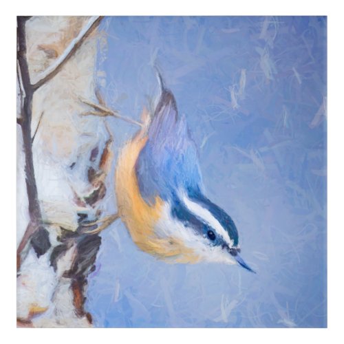 Red_Breasted Nuthatch Painting Original Bird Art