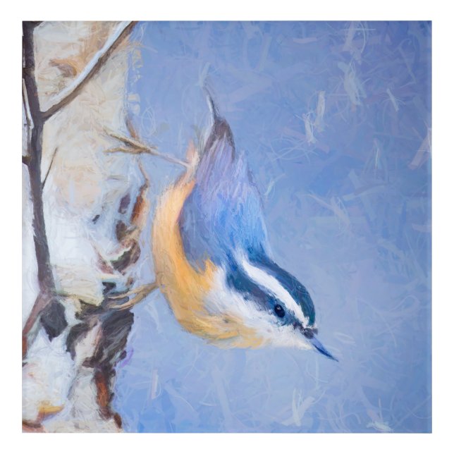 Red-Breasted Nuthatch Painting Original Bird Art (Front)