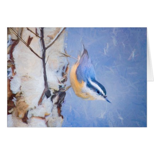 Red_Breasted Nuthatch Painting Original Bird Art