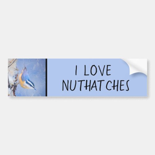 Red_Breasted Nuthatch Painting Original Bird Art Bumper Sticker