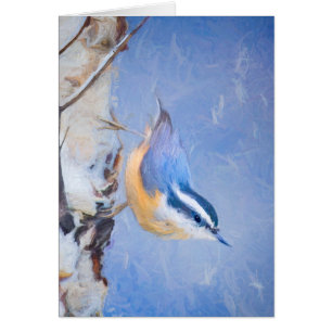 Red-Breasted Nuthatch Painting Original Bird Art Cards