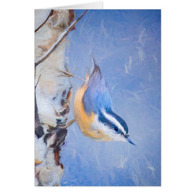 Red-Breasted Nuthatch Painting Original Bird Art Cards (Front)