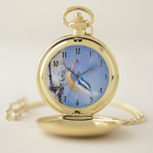 Red-Breasted Nuthatch Painting Original Bird Art Pocket Watch