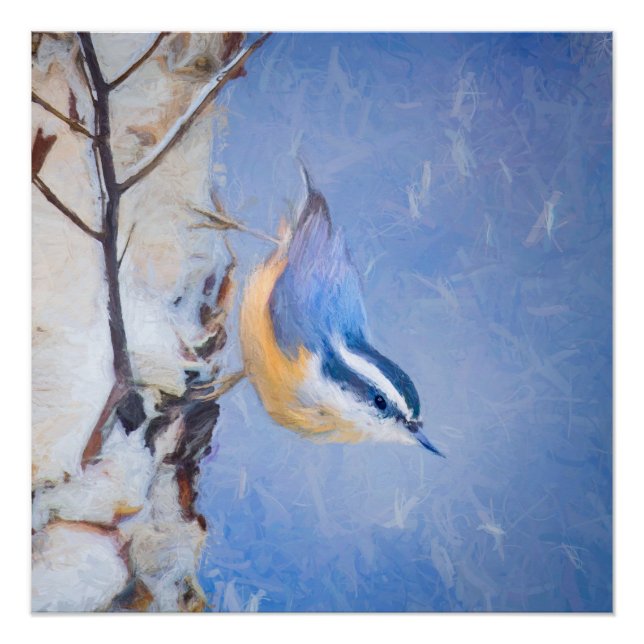 Red-Breasted Nuthatch Painting Original Bird Art Poster (Front)
