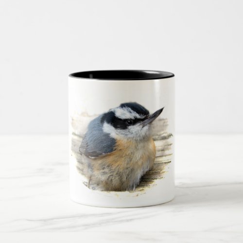 Red_breasted Nuthatch Two_Tone Coffee Mug