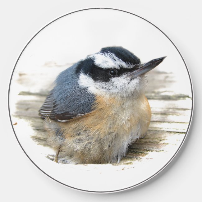 Red-breasted Nuthatch Wireless Charger