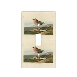 Red-breasted Sandpiper, Audubon's Birds of America Light Switch Cover