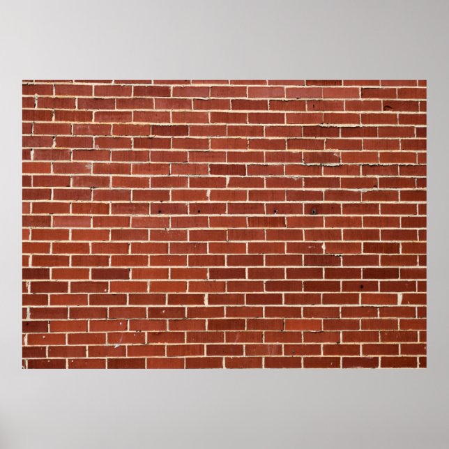 Red Brick Wall Backdrop Poster (Front)