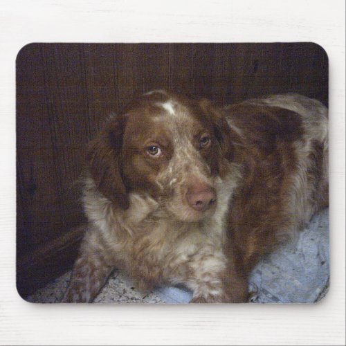 Red Brittany Spaniel dog pagneul breton mouse Mouse Pad