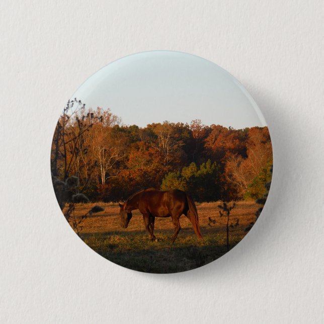 Red  Brown horse, autumn woods. Button (Front)