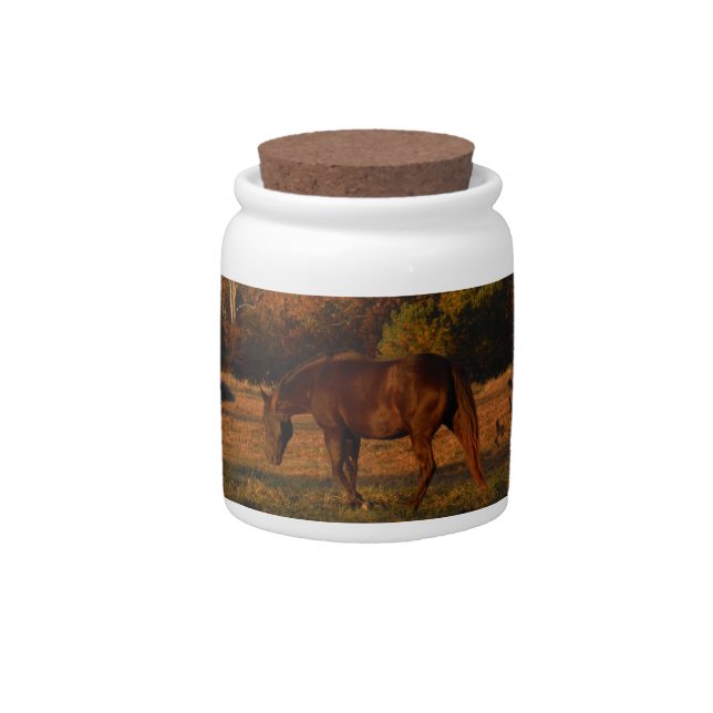 Red  Brown horse, autumn woods. Candy Jar (Front)