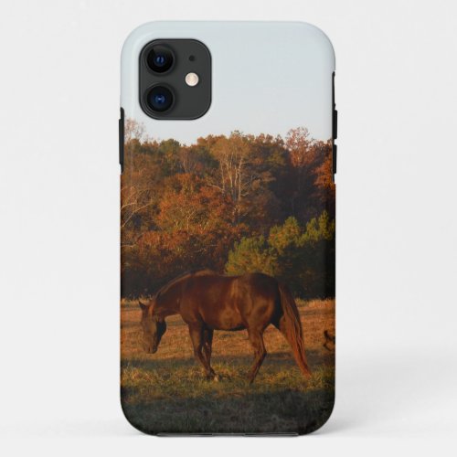 Red  Brown horse autumn woods iPhone 11 Case