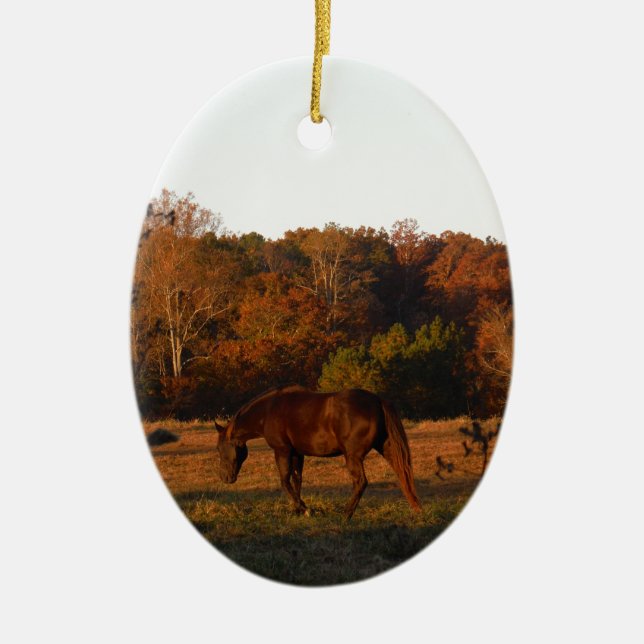 Red  Brown horse, autumn woods. Ceramic Ornament (Front)