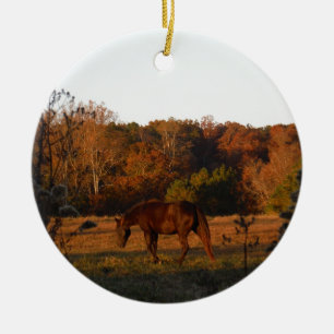 Red Brown horse, autumn woods. Ceramic Ornament