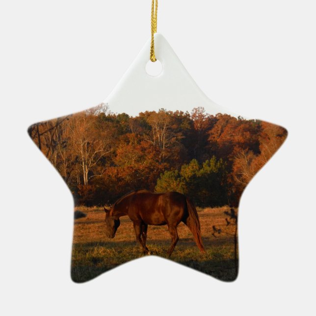 Red  Brown horse, autumn woods. Ceramic Ornament (Front)