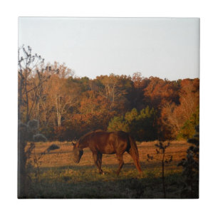 Red Brown horse, autumn woods. Ceramic Tile