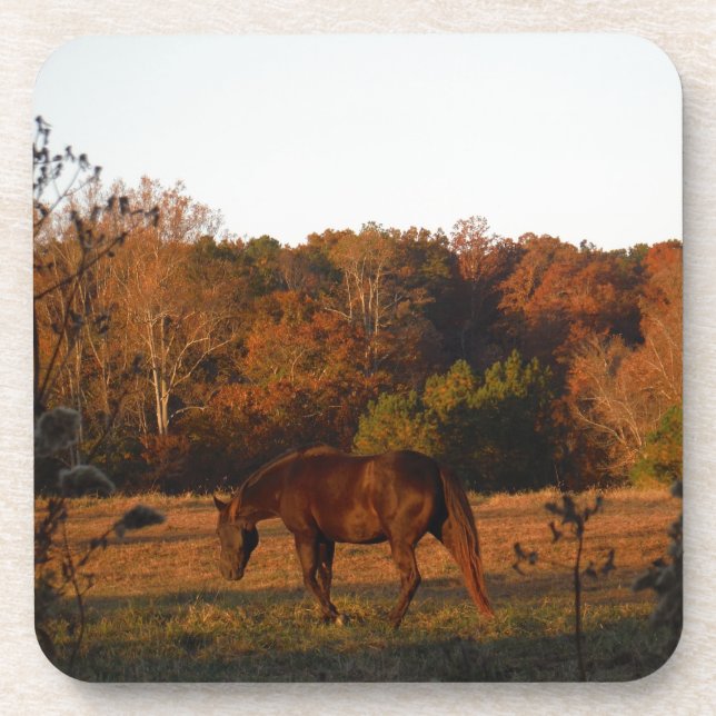 Red  Brown horse, autumn woods. Drink Coaster (Front)