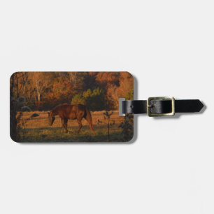 Red Brown horse, autumn woods. Luggage Tag