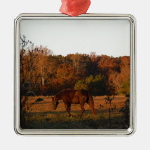 Red  Brown horse, autumn woods. Metal Ornament