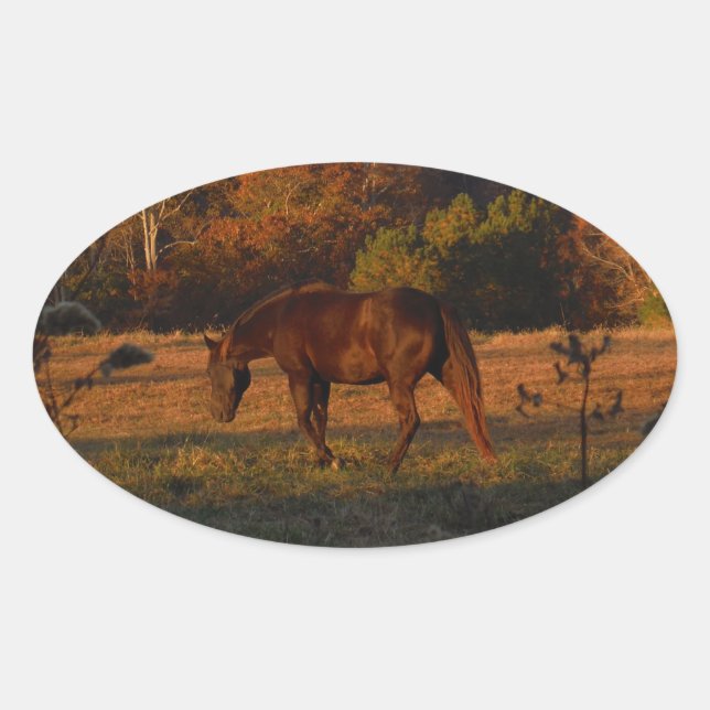 Red  Brown horse, autumn woods. Oval Sticker (Front)