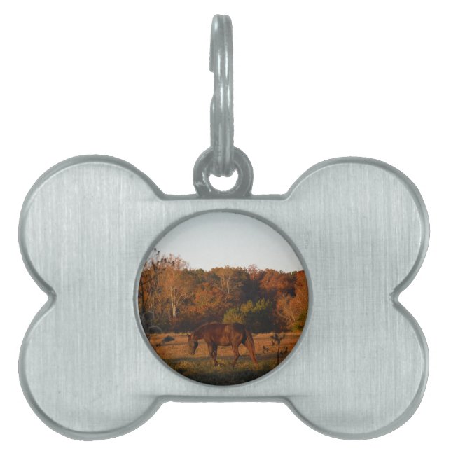 Red  Brown horse, autumn woods. Pet Tag (Front)