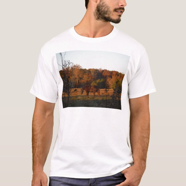 Red  Brown horse, autumn woods. T-Shirt (Front)