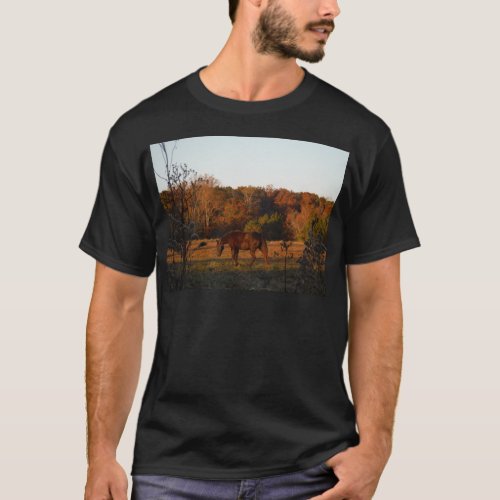 Red  Brown horse autumn woods T_Shirt