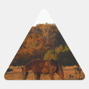 Red Brown horse, autumn woods. Triangle Sticker