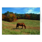 Red Brown horse, fall trees, blue skies (Front Horizontal)
